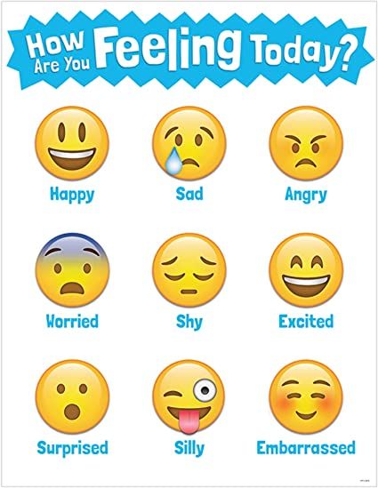 Emotion Activities, Emotion Board, Emoji Chart, Feelings Faces, Phonics Posters, Emotion Chart, Creative Teaching Press, Feelings Chart, Ell Students