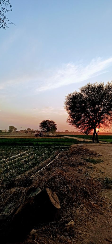 Punjab Aesthetic Pics, Farmers Aesthetic, Farmer Wallpaper, Tractor Aesthetic, Punjab Aesthetic, Tractor In Field, Farm Snap, Farmer Aesthetic, Farming Aesthetic