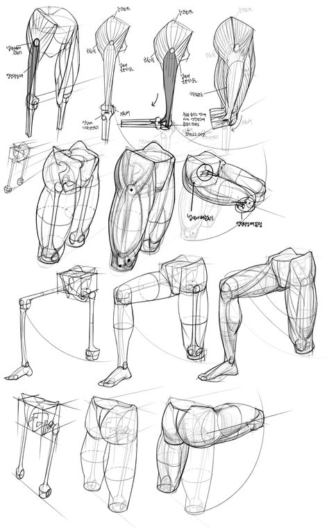 ☕ (@UTodjsQ) / X Pelvis Anatomy, Gaming Photography, Leg Anatomy, Human Anatomy Reference, Perspective Drawing Lessons, Anatomy Tutorial, Motion Designer, Body Drawing Tutorial, Human Anatomy Drawing