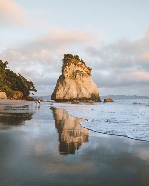 Giulia Gartner on Instagram: “Who would want to go for a romantic walk on the beach in New Zealand’s paradise? 💛😍” Cathedral Cove, Beach Walk, Globe Trotter, One Light, Mount Rushmore, New Zealand, The Beach, Natural Landmarks, Photo And Video