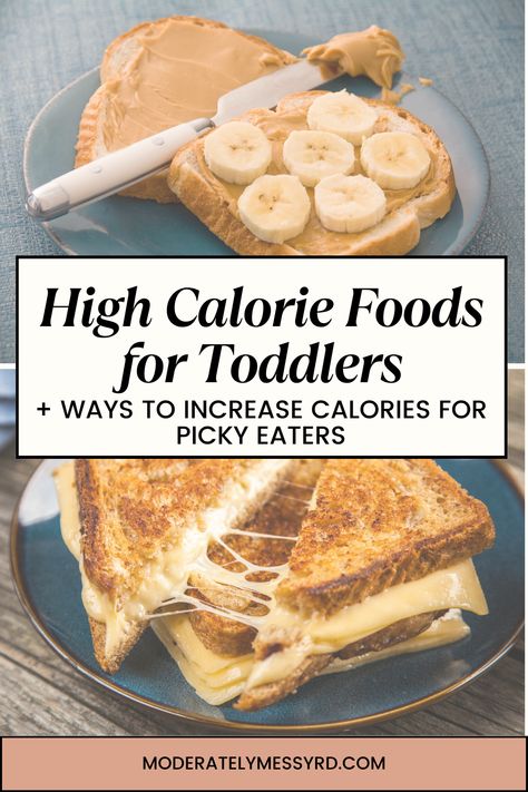 There’s a lot to worry about as a mom, and picky eating can create a headache of worries. It’s important to remember that us parents are not at fault. Food neophobia is normal, and with repeated exposure and practice it will likely get better. Until then, offering high calorie foods and using strategies to increase calories of their preferences can help to relieve some of the worries and promote healthy growth. Toddler Weight Gain Meals, High Calorie Meals For Toddlers, High Calorie Snacks For Toddlers, High Calorie Toddler Snacks, High Fat Toddler Food, High Calorie Foods For Kids, High Calorie Snacks For Kids, High Calorie Toddler Meals, High Calorie Foods For Toddlers