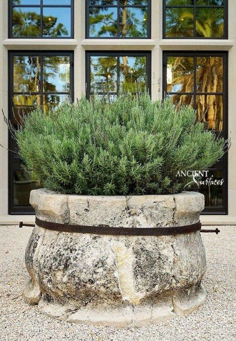 Potted Rosemary, Animal Habitat, Stone Planters, Garden Containers, Container Gardens, French Countryside, Garden Pool, Garden Features, Country Estate