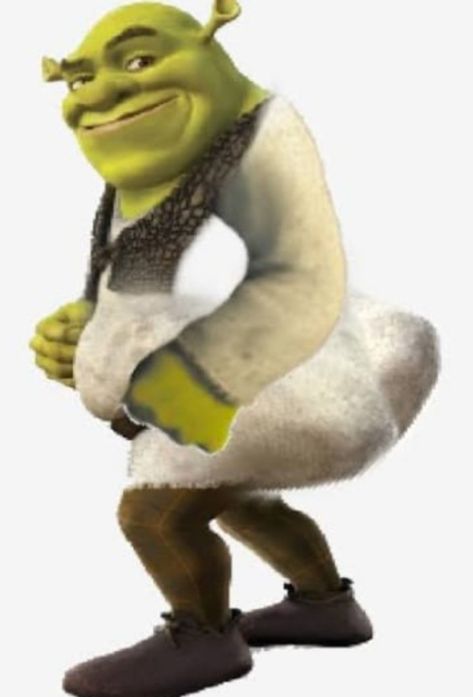 Shrek And Donkey Matching Pfp, Pictures Of Shrek, Handsome Shrek, Shrek Shrine, Shrek Drawing, Meme Shrek, Shrek Funny, Eyes Meme, Dreamworks Characters