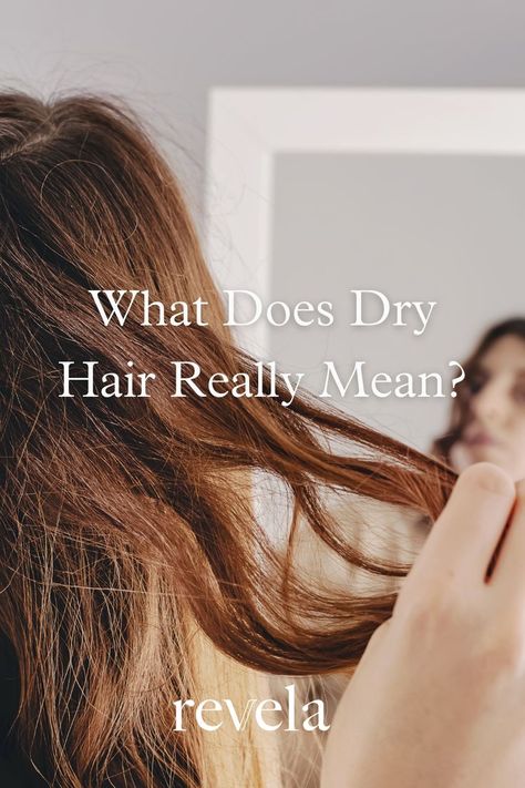 How To Take Care Of Dry Hair, How To Reduce Dryness Of Hair, Dry Hair Hairstyles Ideas, How To Nourish Dry Hair, Soften Hair Naturally, Natural Remedies For Dry Hair, Add Moisture To Dry Hair, How To Add Moisture To Dry Hair, How To Help Dry Hair