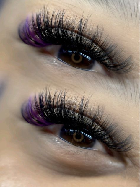 Pretty Lash Extensions Color, Lashes With Purple Ends, Purple Lash Extensions Styles, Lash Set With Color, Lash Color Extensions, Purple Lashes Extensions, Lash Extensions With Purple, Volume Lashes With Color, Purple Lash Room