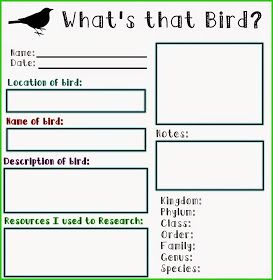 Home Grown Hearts Academy Homeschool Blog: Free Printables American Heritage Girls Ahg, Bird Activities, Bird Watching Journal, Research Template, Bird Printables, Bird Study, Flying Creatures, American Heritage Girls, Field Journal