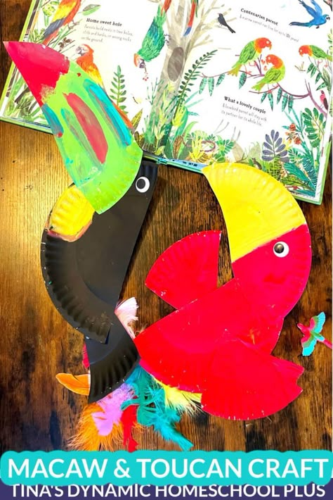 Wildlife in the Amazon Rainforest – Create Fun Macaw and Toucan Crafts Toucan Crafts Preschool, Toucan Paper Plate Craft, Amazon Rainforest Activities, Amazon Rainforest Crafts For Kids, Amazon Rainforest Crafts, Toucan Art For Kids, Rain Forest Crafts, Rainforest Animals Crafts, Amazon Crafts