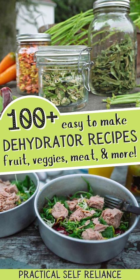 Drying Food Preservation, Good Dehydrator, Using Dehydrated Food, Recipes Using Dehydrated Foods, Food Dehydration Chart, Foods That Can Be Dehydrated, Nesco Dehydrator Recipes, How To Use Dehydrated Food, How To Dehydrate Food