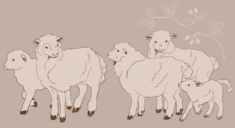 Sheep Drawing Realistic, Sheep Drawing Reference, How To Draw A Sheep, Sheep Drawing Illustration, Sheep Doodles, Cute Sheep Drawing, Cute Sheep Art, Sheep Reference, Sheep Doodle