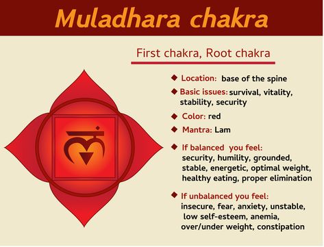 The first chakra or root chakra is located at the base of the spine. The corresponding body locations are the perineum, along the first three vertebrae, at the pelvic plexus. This chakra is often represented as a cone of energy starting at the base of the spine and going downward and then slight bent up. Chakra Locations, First Chakra, Muladhara Chakra, Root Chakra Healing, Chakra Activation, Chakra Root, Chakra Affirmations, Chakra Symbols, Chakra Racine