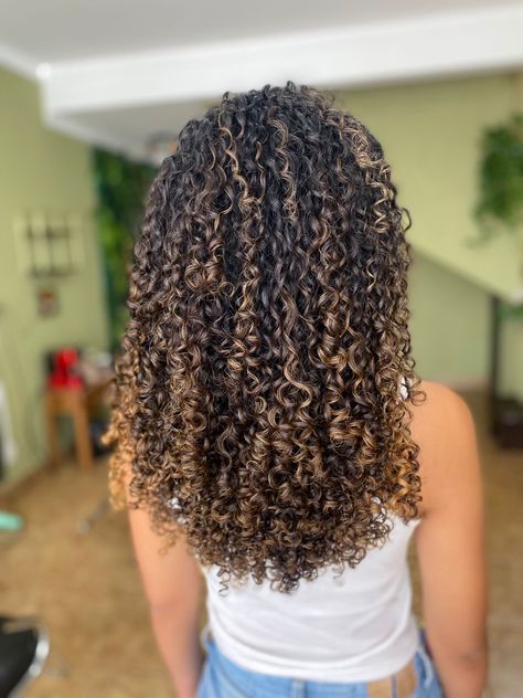 Curly Hair With Partial Highlights, Curly Hair Foils, Chocolate Beige Balayage, 3b Hair With Highlights, Fall Hair Curly Natural Curls, Blonde Highlights Dark Curly Hair, Half Head Pintura Highlights Curly Hair, Brown Curly Hair With Light Brown Highlights, Half Head Highlights Curly Hair