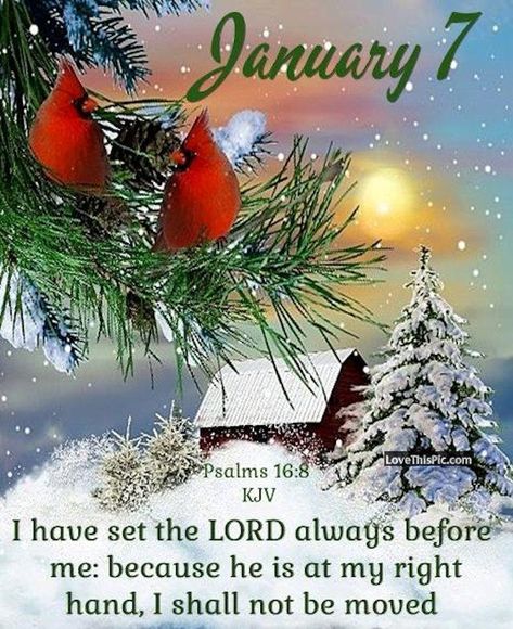 January Images, Hello January, True Vine, January Calendar, Good Morning Beautiful Images, Good Morning God Quotes, What Day Is It, Morning Greetings Quotes, Animated Christmas