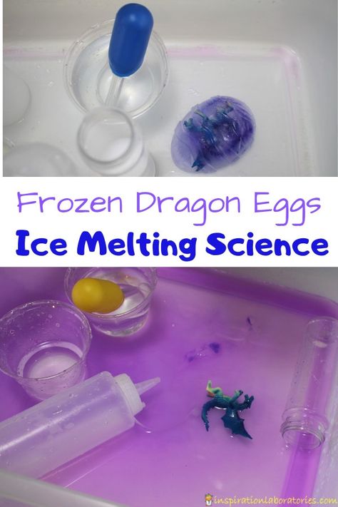 Frozen Dragon Eggs Ice Melting Science | Inspiration Laboratories Dragon Activities Eyfs, Dragon Stem Activities, Dragon Science Experiment, How To Train Your Dragon Activities, Dragon Preschool Activities, Dragon Activities For Kids, Dragon Activities, Castles Topic, Candy Science Experiments