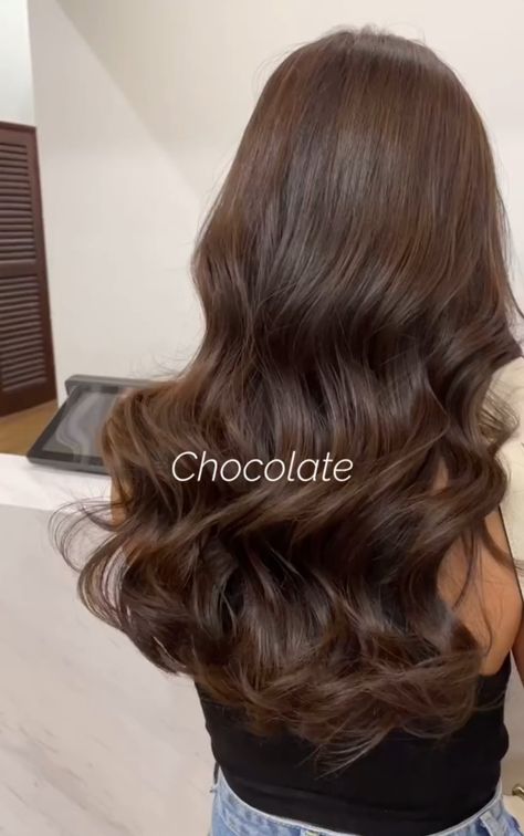 Light Brown Hair On Black Hair, Dark Roots Light Brown Hair, Gloss Brown Hair, Brown Hair Colors Chocolate Medium, Asian Brown Hair Color, Chocolate Chestnut Hair Color, Brown All Over Hair Color, Light Chocolate Brown Hair Color Caramel, Latte Brown Hair Color