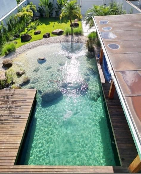 Purification Of Water, Beach Entry Pool, Dream Backyard Pool, Pool Landscape Design, Pool Cabana, Swimming Pond, Natural Swimming Pools, Pool Installation, Natural Swimming Pool