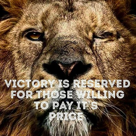 Victory is reserved for those willing to pay it's price Quotes For Graduating Seniors, Lion Strength, Lion Motivation, Jade Empire, Victory Quotes, Gentle Man, The Lion Sleeps Tonight, Lion Quotes, Bible Verse Background