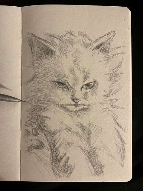 A Pencil, A Drawing, Pencil Drawing, A Cat, Sketch, Pen, Pencil, Art