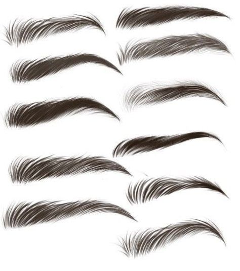 How To Draw Brows, Eye Brows Drawing, Eye Brow Drawing, Digital Art Software, Eyebrow Design, Eye Drawing Tutorials, How To Draw Eyebrows, 얼굴 그리기, 캐릭터 드로잉