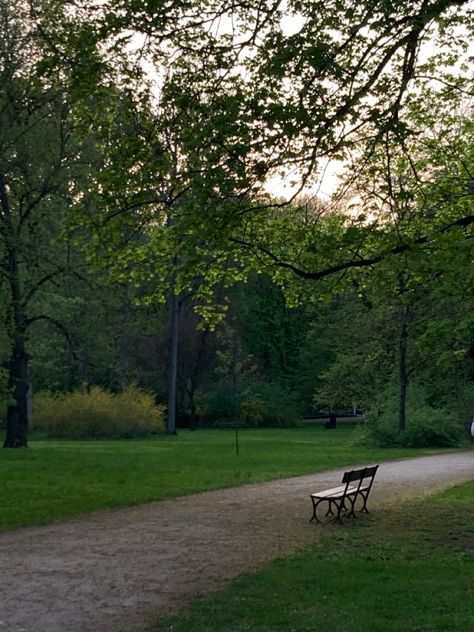 Old Park Aesthetic, Park Bench Aesthetic, Mv Ideas, Weather Wallpaper, Trees Aesthetic, Vibe Board, Park Aesthetic, Spring Afternoon, Spring 23