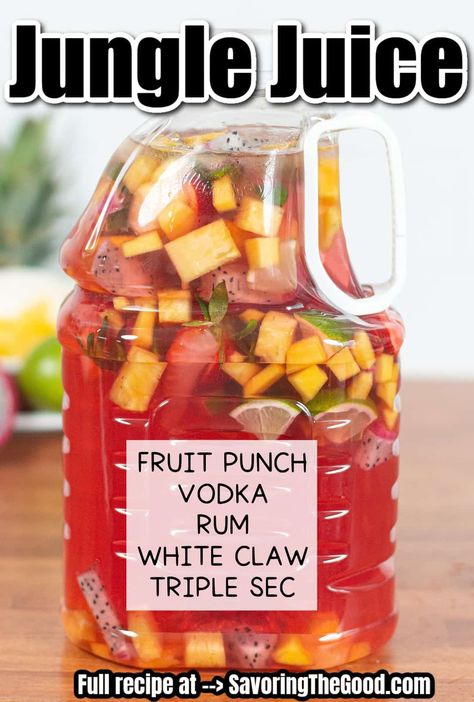 Pouch Alcohol Drinks, Jungle Juice Birthday Party, Drinks For Bachelorette Party Alcohol, Jungle Punch Alcohol, Trashcan Punch Jungle Juice, Easy Jungle Juice Recipe Cheap, Gallon Jug Mixed Drinks, Summer Jungle Juice Recipes, Jungle Juice Alcoholic Parties