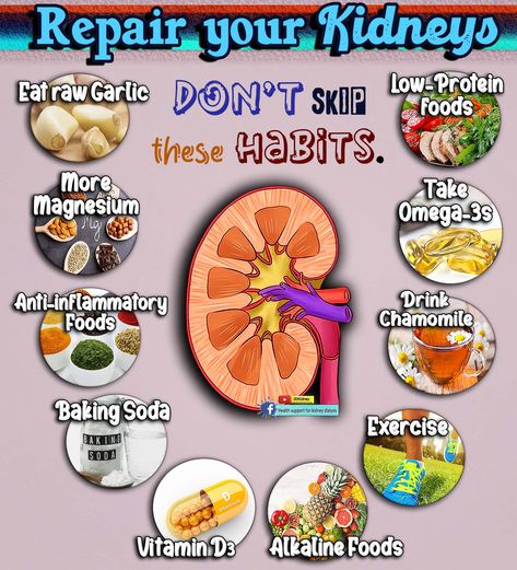 #kidneydisease #kidneyfailure #dialysis #diabetes #highbloodpressure #creatinine #kidneyrepair #kidneyhealth #00kidney Healthy Liver And Kidney Diet, Kidney Remedies Natural, Natural Remedies For Kidneys, Kidney Care Tips, Juice For Kidney Health, Drinks For Kidney Health, Kidney Cleanse Remedies, Foods Good For Kidney Function, Best Foods For Kidney Health