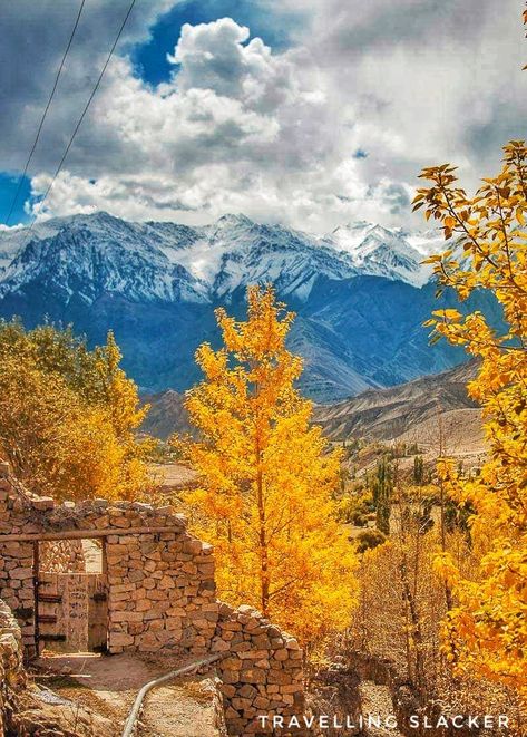 Autumn In India, Ladakh India, Leh Ladakh, Fall Colours, Travel India, India And Pakistan, Jammu And Kashmir, Bike Trips, Leh