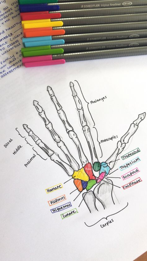 Nurse Study Notes Bones, Kinesiology Notes Aesthetic, Aesthetic Med School Notes, Anatomy Bones Notes, Radiology Study Notes, Physiotherapy Study Notes, Physiotherapy Student Motivation, Doctor Tips Medical School, Study Motivation Doctor Med School