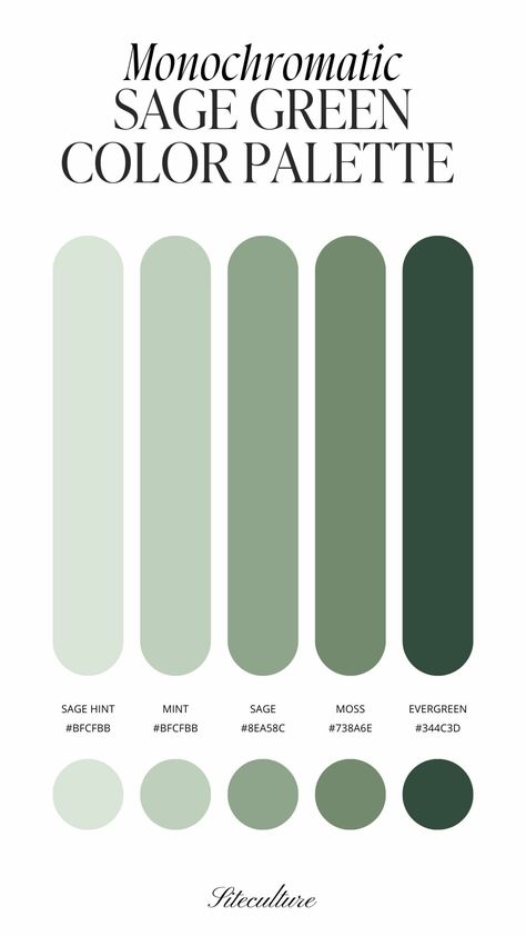 5 Gorgeous Sage Green Color Palettes You Need to See - Siteculture Sage Green Colour Palette Wedding, Color Palette Of Green, Sage Green Shades Colour Palettes, Green Interior Colour Palette, Earth Green Colour Palette, Wedding Palette Sage Green, Colors Green Palette, Jade Colour Palette, Sage Paint Palette