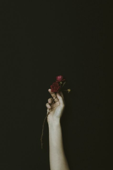 Grey Warden, Robert Frank, Hades And Persephone, Dark Photography, Story Inspiration, Bellini, Dark Background, Dark Aesthetic, A Flower