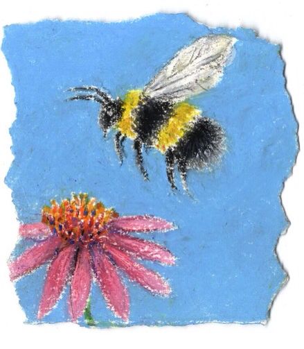 Bee Chalk Art, Bee Drawing Colored Pencil, Bee Oil Pastel, Painting Bees Acrylic, Painting Bumble Bees Acrylic, Biodiversity Project, Miroco Machiko, Bee On A Flower Painting, Artsy Projects