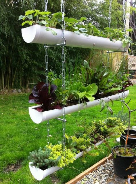 Covered Patio Garden Ideas, Buah Tin, Kebun Herbal, Plantarea Legumelor, Diy Gutters, Taman Diy, Gutter Garden, Tanaman Pot, Gardens Of Babylon