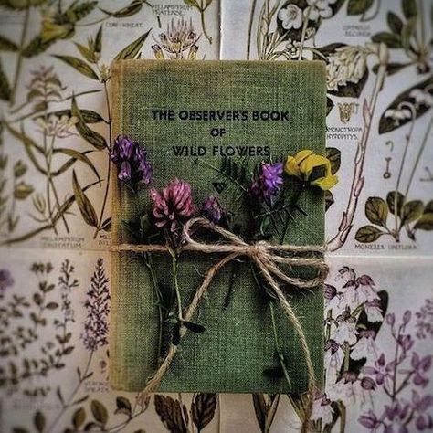 Botany, Goblin Core, Book Flowers, Witch Aesthetic, Book Photography, Book Aesthetic, Vintage Books, Book Worms, Wild Flowers