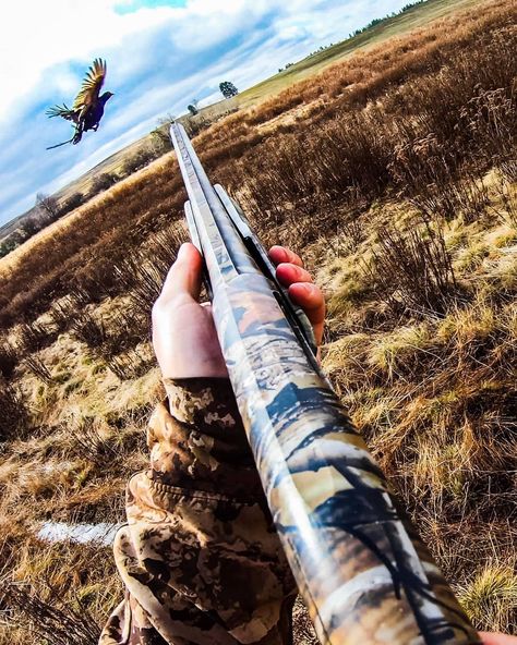 Gentleman Bobwhite: Photo Waterfowl Hunting, Hunting Wallpaper, Outdoors Aesthetic, Hunting Photography, Tattoo Japanese Style, Bobwhite Quail, Skeet Shooting, Goose Hunting, Cool Chest Tattoos