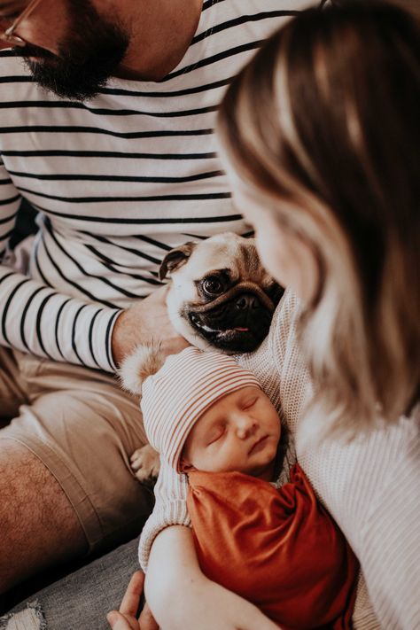 Newborn Dog Photography, Baby And Dog Photography, Newborn And Dog Photography, Newborn Photos With Dog, Newborn Photography With Dog, Newborn Photo Shoot With Dog, Newborn With Dog Photography, Newborn Home Photoshoot With Dog, Lifestyle Newborn Photography With Dog