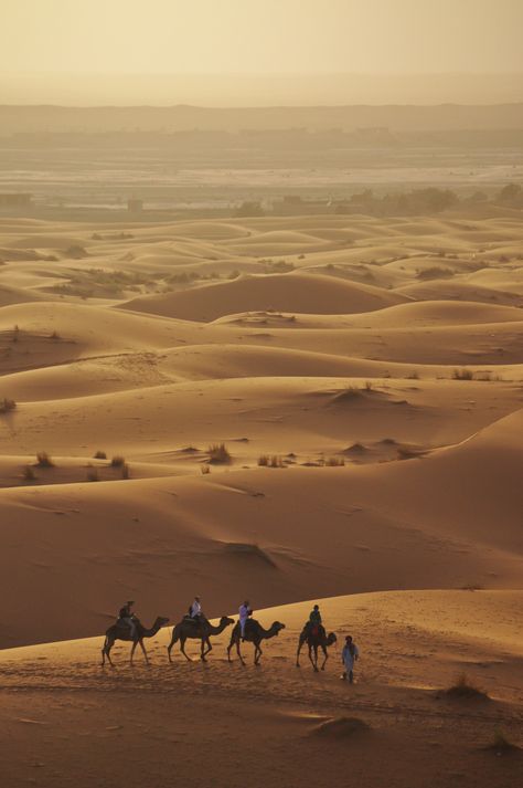 Sahara views, Morocco - #morocco #sahara #desert Maroc Désert Expérience tours http://www.marocdesertexperience.com Sahara Desert Aesthetic, Arab Desert, Morocco Desert, Desert Sahara, Deserts Of The World, Desert Tour, Visit Morocco, Desert Dream, Desert Life