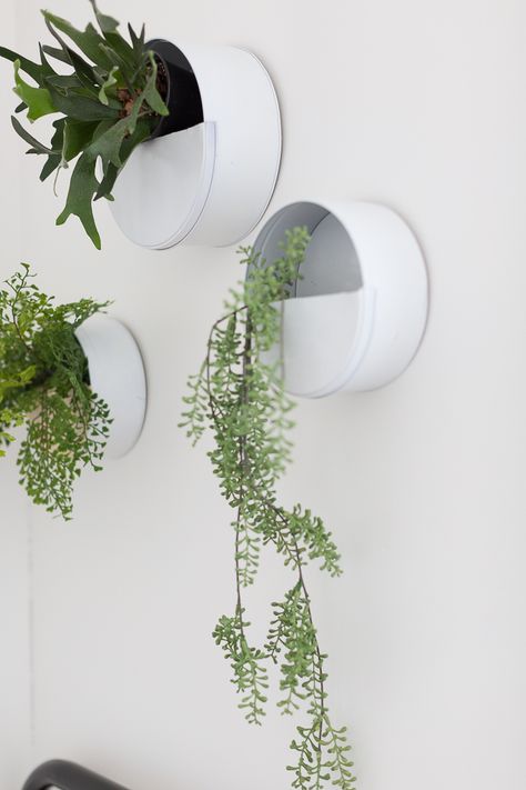 Patio Wall Planters, Living Wall Planter, Diy Wall Planter, Plants Hanging, Wall Planters Indoor, Vertical Wall Planters, Diy Wand, Patio Wall, Cookie Tins