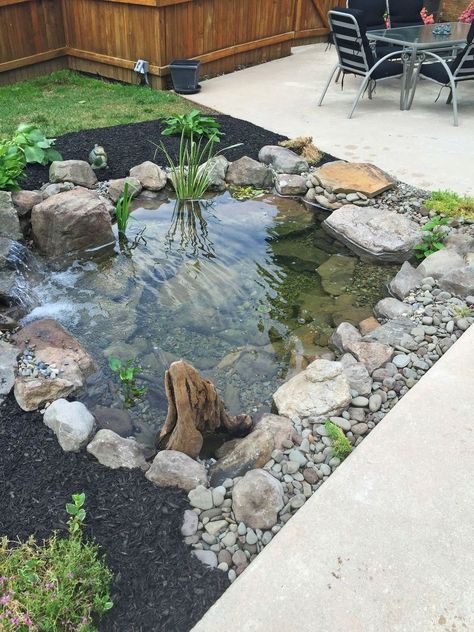 This Backyard Fish pond installation included an Aquascape Ecosystem 8′x11′ Pond with waterfall. The Pond was installed next to the pool for optimum enjoyment w… Kolam Koi, Fish Pond Gardens, Taman Air, Backyard Ponds, Pelan Rumah, Garden Pond Design, Diy Pond, Small Pond, Pond Waterfall