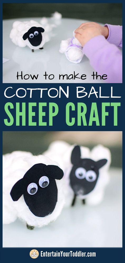 Looking for an easy and adorable indoor craft you can do with your kids today? With stuff you already have around the house? Check out this quick toddler activity! #indooractivitiesforkids #toddleractivities #artsandcrafts #EntertainYourToddler Easy Sheep Craft, Lamb Crafts For Preschoolers, Sheep Activities For Preschool, Lamb Crafts For Kids, Diy Sheep Craft, Sheep Crafts For Kids, Sheep Activity, Sheep Activities, Cotton Ball Sheep