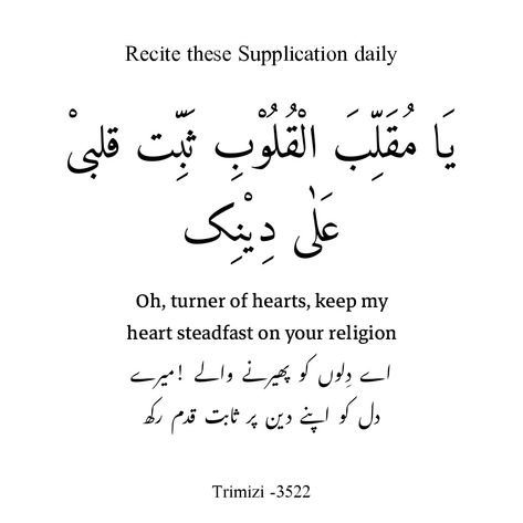 Daily Dua, Life Rules, Beautiful Style, Islamic Quotes, Quran, Quotes, Wall, Quick Saves