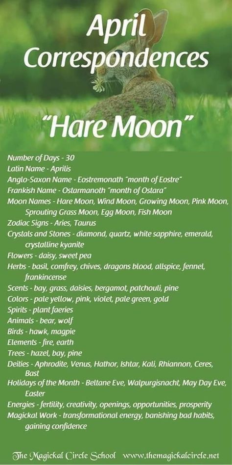 Moon Correspondences, Full Moon Names, Moon Zodiac, Lunar Magic, Moon Names, Moon Meaning, Moon Circle, Wiccan Crafts, Lunar Moon