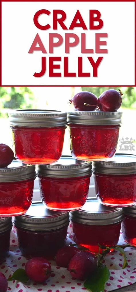 Crab Apple Recipes, Crab Apple Jelly, Rhubarb Jelly, Apple Rhubarb, Crab Apples, Apple Jelly, Jam Recipes Homemade, Apple Jam, Amazing Crafts