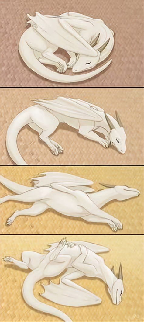 Sleepy Dragon, Dragon Sleeping, Dragon Poses, Sleeping Drawing, Realistic Dragon, Dragon Base, Cute Dragon Drawing, Wings Drawing, 3d Art Drawing