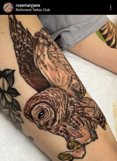 Barred Owl Tattoo, Barred Owl, Owl Tattoo, Piercing Ideas, Tattoos And Piercings, Owls, Piercings, Tattoos, Art