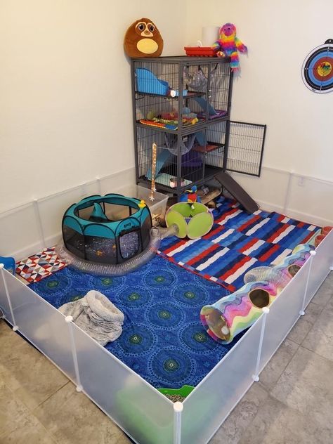 Diy Ferret Play Area, Ferret Free Roam Area, Big Ferret Cage, Pet Rat Play Area, Small Animal Cage Ideas, Ferret Diy Cage, Ferret Habitat Ideas, Ferret Enclosure Indoor, Ferret Setup Ideas