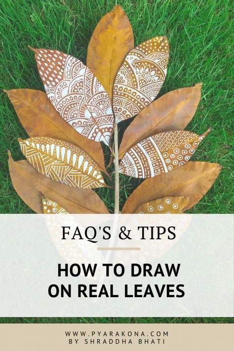 How To Paint On Leaves, Drawing On Leaves, Dried Leaves Crafts, Real Leaf Art, Leaf Art Diy, Dry Leaf Art, Leaf Projects, Framed Leaves, Real Leaves