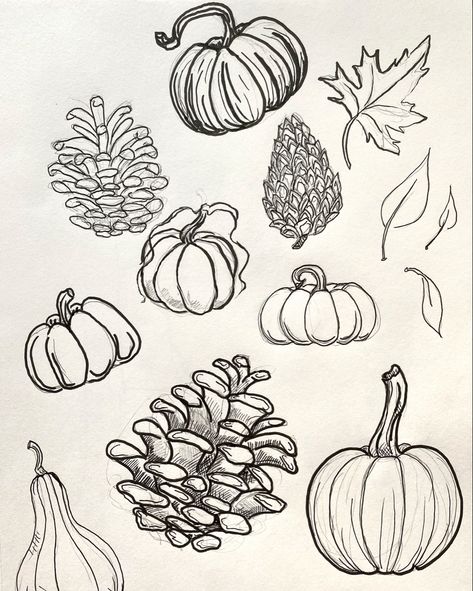 Pumpkin and pinecone sketches I made in preparation for some new stickers I want to make. Also wanted to practice some pen drawing before October! #pumpkin #inkdrawing #sketch Croquis, Things To Sketch Halloween, Pumpkin Sketches To Draw, Fall Ink Drawing, White Board Ideas Drawings Fall, Pinecone Drawing Simple, Cute Autumn Drawings Easy, Pumpkin Drawing Reference, Fall Outline Drawings