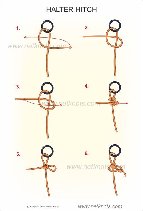 How to tie a Halter Hitch - Rope Knots by NetKnots Knot Tying Instructions, Knot Tying Tutorial, Diy Macrame Plant Hanger Pattern, Camping Bushcraft, Jute Macrame, Magic Knot, Types Of Knots, Paracord Ideas, Survival Knots