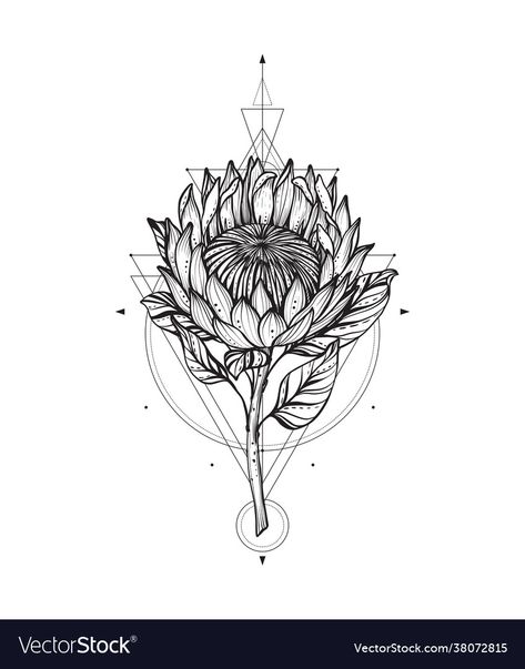 Protea Tattoo Black And White, South African Tattoos For Women, Protea Tattoo Design, South African Tattoo Ideas, African Flower Tattoo, South Africa Tattoo Ideas, King Protea Tattoo, Protea Flower Tattoo, South Africa Tattoo