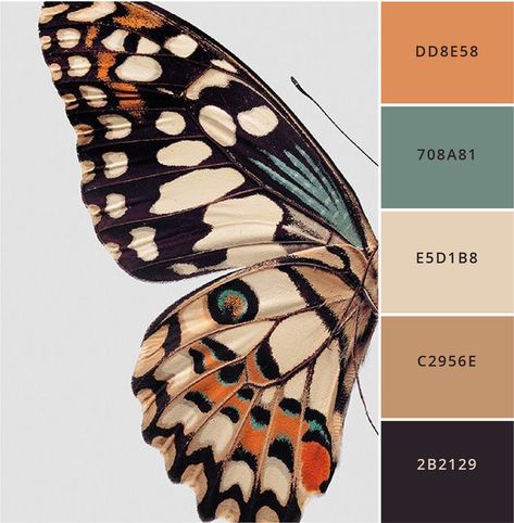 Coming up with brand colors can be tough- so I’m here to help you out. Here are 12 modern, sophisticated brand color palettes that you can use to create your brand identity, website, print materials & package designs!   Hex numbers are included so you can simply plug them into your own designs in Canva, illustrator or photoshop. You can even just hand the numbers right over to your graphic designer if you have one! Color Schemes Colour Palettes, Modern Color Palette, Brand Color Palette, Color Palette Design, Color Inspo, Photography Logos, Color Stories, Vintage Modern, Brand Identity Design