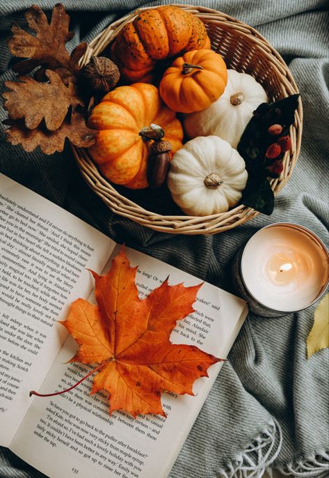 Autumn Flatlay, Pumpkin Gingerbread, Autumn Magic, Autumn Nature, Happy Fall Y'all, Autumn Vibes, Fall Pictures, Autumn Cozy, Autumn Aesthetic